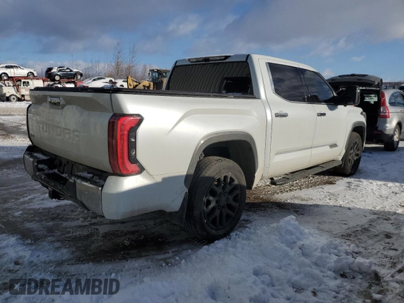 2022 Toyota Tundra 1794 Edition with VIN 5TFMA5DB8NX045547, listed as a Copart auction lot 42543985 with 39,256 mi miles and Clean title. Bid and sale history available at DreamBid. Image 3.