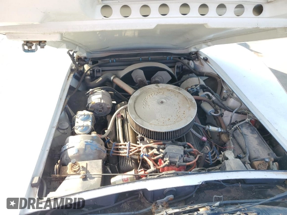 1977 Chevrolet Corvette with VIN 1Z37L7S435042, listed as a Copart auction lot 44217135 with 72,182 mi miles and Clean title. Bid and sale history available at DreamBid. Image 11.