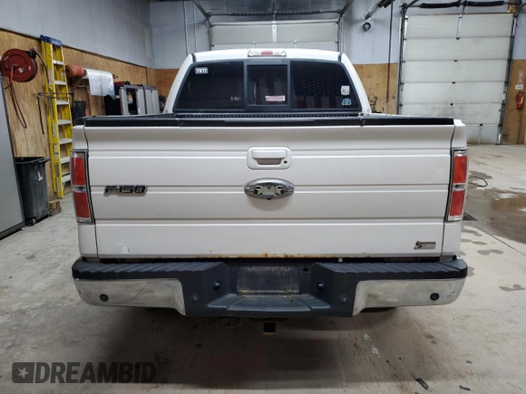 2010 Ford F-150 XL with VIN 1FTFW1EV1AFC96308, listed as a Copart auction lot 61661115 with 226,594 mi miles and Clean title. Bid and sale history available at DreamBid. Image 6.