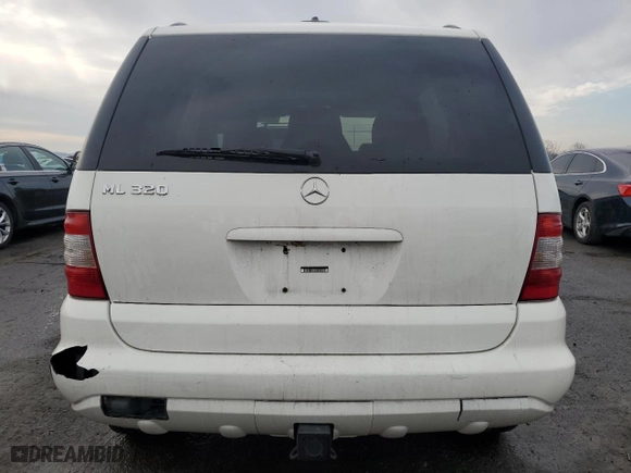 2002 Mercedes-Benz M-Class with VIN 4JGAB54E62A343549, listed as a Copart auction lot 43749115 with 198,171 mi miles and Salvage Title. Bid and sale history available at carsss.com. Image 6.