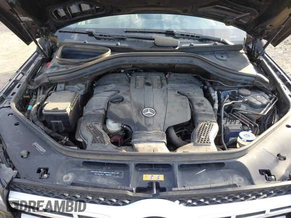 2017 Mercedes-Benz GLS 450 with VIN 4JGDF6EE6HA846688, listed as a IAAI auction lot 41824755 with 98,697 mi miles and . Bid and sale history available at DreamBid. Image 10.