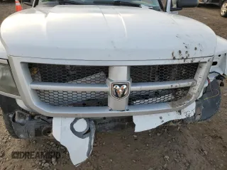 2010 Dodge Dakota Bighorn/Lonestar with VIN 1D7RW3GK8AS212476, listed as a Copart auction lot 81830154 with Not Provided miles and Salvage Title. Bid and sale history available at DreamBid. Image 12.