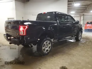 2016 Ford F-150 XLT with VIN 1FTEW1EF6GFA31977, listed as a Copart auction lot 51790655 with 136,210 mi miles and Clean Title. Bid and sale history available at DreamBid. Image 3.