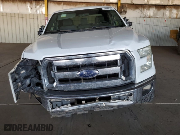 2016 Ford F-150 XL with VIN 1FTEX1CF4GKD67070, listed as a Copart auction lot 73364334 with 219,526 mi miles and Clean Title. Bid and sale history available at carsss.com. Image 5.