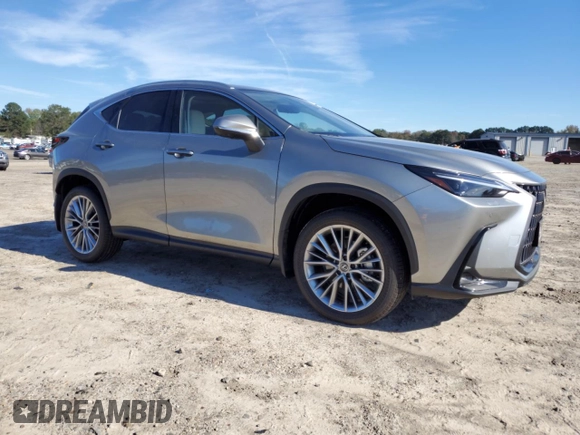 2025 Lexus NX with VIN JTJHGCEZ4S5010282, listed as a Copart auction lot 79807514 with 435 mi miles and Salvage Title. Bid and sale history available at carsss.com. Image 4.