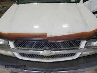 2003 Chevrolet Silverado 1500 LS with VIN 1GCEK14V33Z173927, listed as a Copart auction lot 56017245 with Not Provided miles and Clean Title. Bid and sale history available at DreamBid. Image 11.