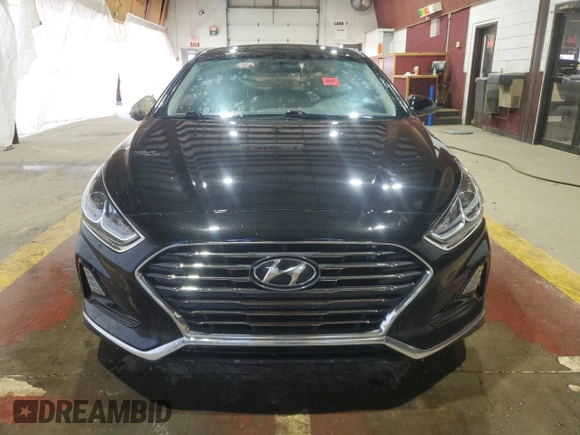 2019 Hyundai Sonata SE with VIN 5NPE24AF1KH807563, listed as a Copart auction lot 49001865 with Not Provided miles and Clean Title. Bid and sale history available at carsss.com. Image 5.