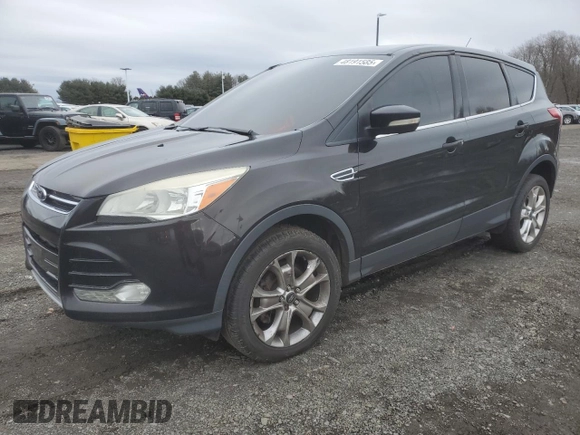 2013 Ford Escape SEL with VIN 1FMCU9HX1DUD19246, listed as a Copart auction lot 48191585 with 165,084 mi miles and Clean Title. Bid and sale history available at carsss.com. Image 1.