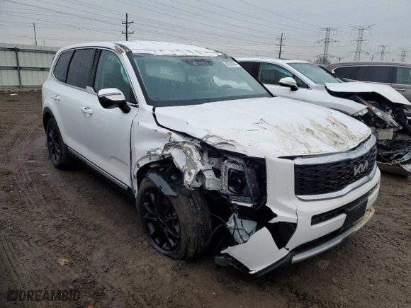 2022 Kia Telluride LX with VIN 5XYP2DHC9NG282137, listed as a Copart auction lot 86538664 with 0 mi miles and Salvage Title. Bid and sale history available at carsss.com. Image 4.