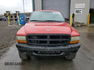 2003 Dodge Dakota with VIN 1D7GG16X23S191049, listed as a Copart auction lot 52245245 with 152,534 mi miles and Clean Title. Bid and sale history available at carsss.com. Image 5.