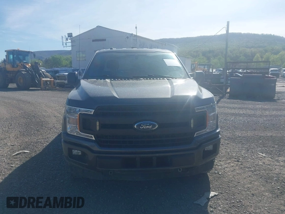 2019 Ford F-150 XL with VIN 1FTEX1EP1KKC64106, listed as a IAAI auction lot 42161813 with 127,387 mi miles. Bid and sale history available at carsss.com. Image 12.