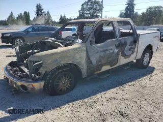 2013 Ford F-150 XL with VIN 1FTFW1EF7DFA19871, listed as a Copart auction lot 65290555 with Not provided miles and Salvage title. Bid and sale history available at DreamBid. Image 1.