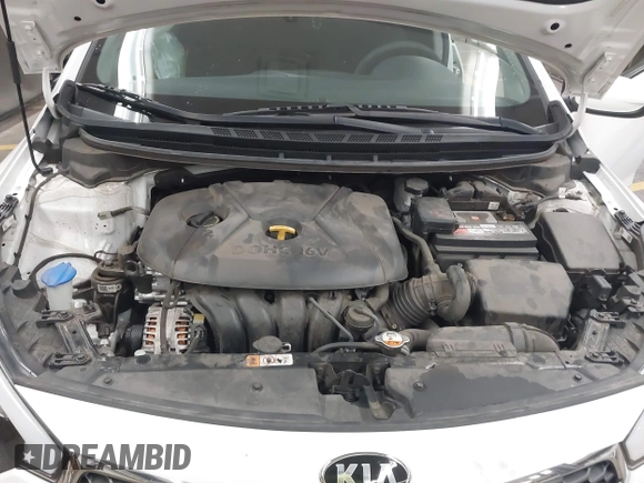 2016 Kia Forte LX with VIN KNAFK4A63G5616512, listed as a IAAI auction lot 41894857 with 44,844 mi miles. Bid and sale history available at carsss.com. Image 10.