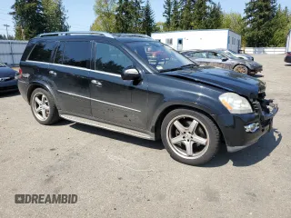 2009 Mercedes-Benz GL-Class 5.5L with VIN 4JGBF86E79A442589, listed as a Copart auction lot 54048445 with 118,221 mi miles and Salvage Title. Bid and sale history available at carsss.com. Image 4.