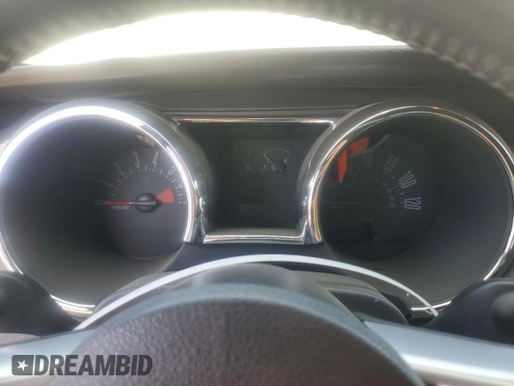 2005 Ford Mustang Deluxe with VIN 1ZVFT84N455250273, listed as a Copart auction lot 50923095 with Not Provided miles and Salvage Title. Bid and sale history available at carsss.com. Image 9.
