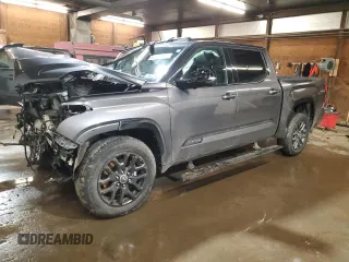 2023 Toyota Tundra Platinum with VIN 5TFNA5DB1PX111511, listed as a Copart auction lot 43710805 with Not provided miles and Salvage title. Bid and sale history available at DreamBid. Image 1.