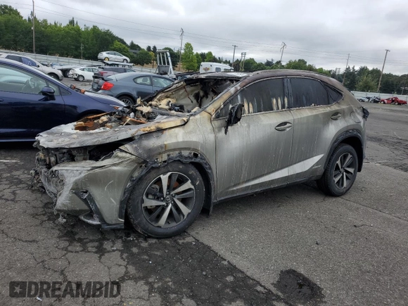 2020 Lexus NX with VIN JTJHJRDZ8L2132118, listed as a Copart auction lot 70226054 with Not provided miles and Salvage title. Bid and sale history available at DreamBid. Image 1.