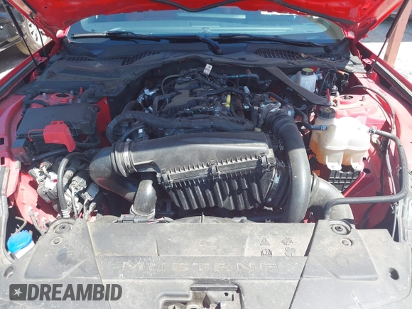 2024 Ford Mustang EcoBoost with VIN 1FAGP8UH2R5130814, listed as a IAAI auction lot 42618860 with 34,042 mi miles and . Bid and sale history available at DreamBid. Image 10.