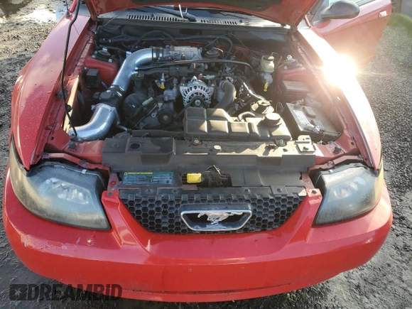 2003 Ford Mustang GT Deluxe with VIN 1FAFP45X93F352648, listed as a Copart auction lot 81508964 with 167,950 mi miles and Salvage Title. Bid and sale history available at carsss.com. Image 11.