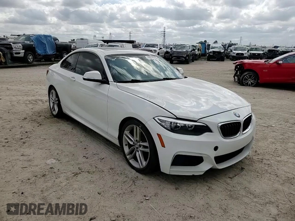 2016 BMW 2 Series 228i z VIN WBA1F9C57GV742193, wystawiony jako Copart lot #48878695 z przebiegiem Nie podano mil oraz Szkoda całkowita • Salvage title. Historia ofert i sprzedaży dostępna na DreamBid. Obrazek 10.