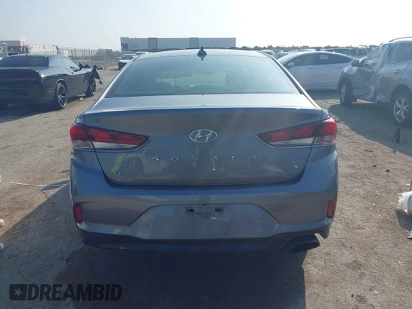 2019 Hyundai Sonata SE with VIN 5NPE24AF6KH750034, listed as a IAAI auction lot 41511943 with 116,871 mi miles. Bid and sale history available at carsss.com. Image 16.