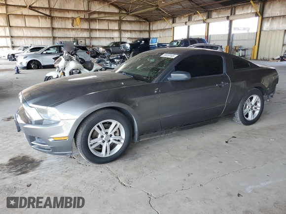 2013 Ford Mustang V6 with VIN 1ZVBP8AM7D5221623, listed as a Copart auction lot 59559165 with 160,070 mi miles and Salvage title. Bid and sale history available at DreamBid. Image 1.