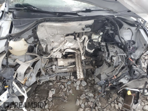 2017 Volkswagen Tiguan S with VIN WVGAV7AXXHK039703, listed as a Copart auction lot 59175923 with Not provided miles and Salvage title. Bid and sale history available at DreamBid. Image 12.