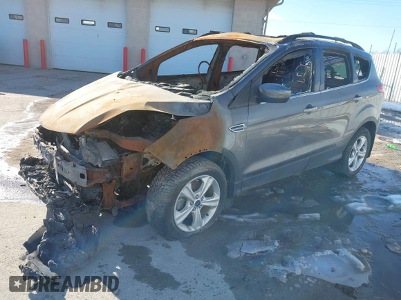 2013 Ford Escape SE с VIN 1FMCU0GX0DUB88243, выставлен на аукционе IAAI как лот 29672383 с пробегом Не указан миль и . История ставок и продаж доступна на DreamBid. Изображение 2.