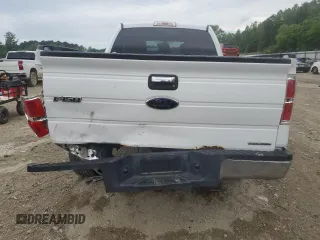 2013 Ford F-150 XL z VIN 1FTEX1CM3DFA39318, wystawiony jako Copart lot #56255635 z przebiegiem 284 281 mil mil oraz Szkoda całkowita • Salvage title. Historia ofert i sprzedaży dostępna na DreamBid. Obrazek 6.