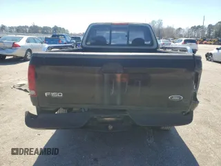 1998 Ford F-150 with VIN 1FTZF172XWNB64967, listed as a Copart auction lot 48491685 with 243,907 mi miles and Salvage title. Bid and sale history available at DreamBid. Image 6.