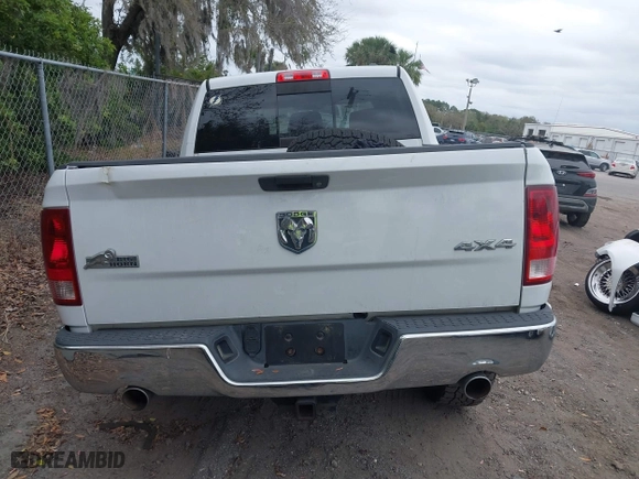 2010 Dodge Ram 1500 SLT with VIN 1D7RV1CT2AS260948, listed as a IAAI auction lot 41587750 with 193,505 mi miles. Bid and sale history available at carsss.com. Image 17.