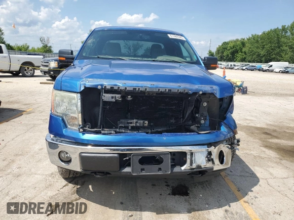 2010 Ford F-150 XL with VIN 1FTFX1EV3AKE20275, listed as a Copart auction lot 61480585 with 76,806 mi miles and Salvage title. Bid and sale history available at DreamBid. Image 5.