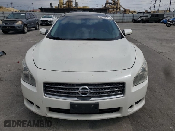 2009 Nissan Maxima SV with VIN 1N4AA51E69C809139, listed as a Copart auction lot 53791545 with 141,482 mi miles and Salvage Title. Bid and sale history available at DreamBid. Image 5.