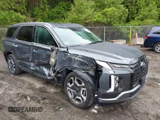 2024 Hyundai Palisade SEL z VIN KM8R4DGE1RU695840, wystawiony jako IAAI lot #42354524 z przebiegiem 17 727 mil mil oraz . Historia ofert i sprzedaży dostępna na DreamBid. Obrazek 1.