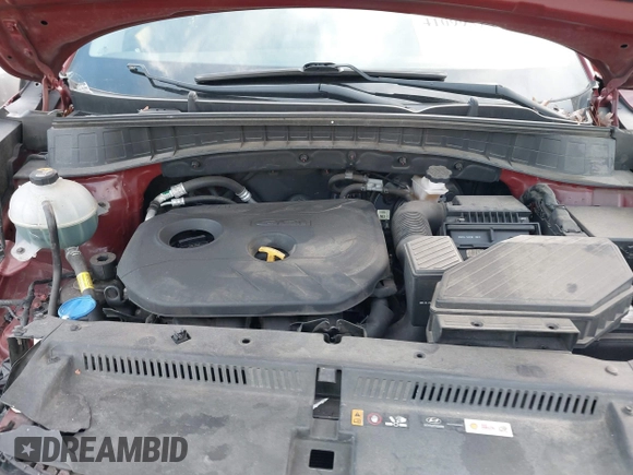 2019 Hyundai Tucson SE with VIN KM8J2CA49KU881841, listed as a IAAI auction lot 41099575 with 129,153 mi miles. Bid and sale history available at carsss.com. Image 10.