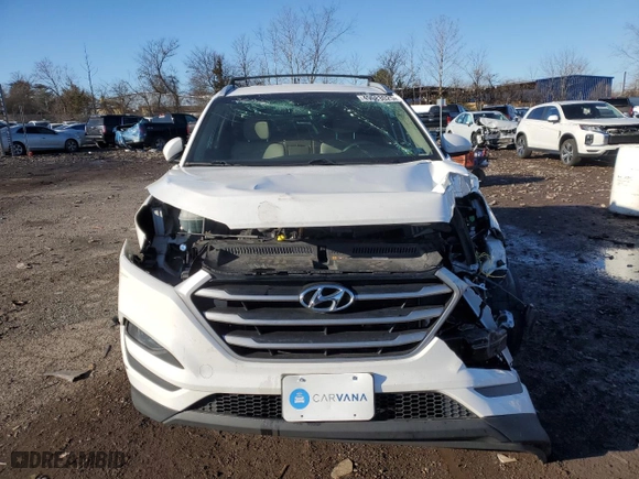 2017 Hyundai Tucson SE with VIN KM8J3CA48HU271077, listed as a Copart auction lot 49583025 with 75,555 mi miles and Salvage Title. Bid and sale history available at carsss.com. Image 5.