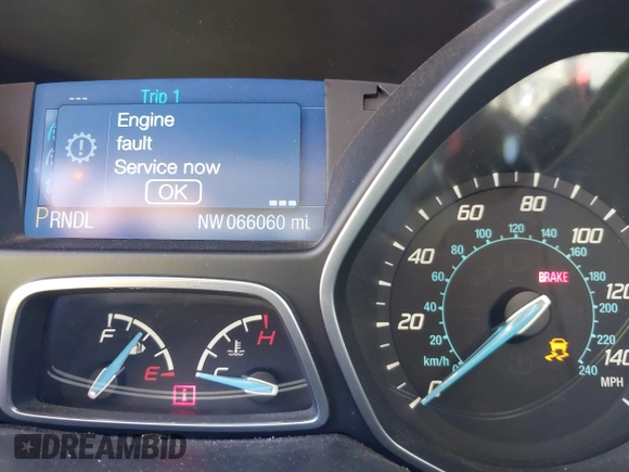 2014 Ford Focus SE with VIN 1FADP3F28EL230114, listed as a IAAI auction lot 41016783 with 66,060 mi miles. Bid and sale history available at carsss.com. Image 7.