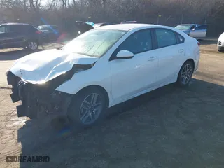2019 Kia Forte S with VIN 3KPF34AD2KE017130, listed as a IAAI auction lot 41654873 with NaN miles. Bid and sale history available at carsss.com. Image 18.