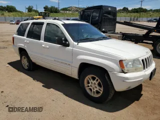 1999 Jeep Grand Cherokee Limited with VIN 1J4GW68N5XC549051, listed as a Copart auction lot 64376325 with 205,276 mi miles and Clean title. Bid and sale history available at DreamBid. Image 5.