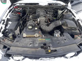 2009 Ford Mustang with VIN 1ZVHT84N395121827, listed as a Copart auction lot 41651645 with 117,203 mi miles and Clean title. Bid and sale history available at DreamBid. Image 11.