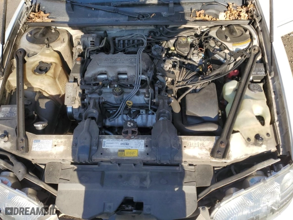 1998 Chevrolet Lumina with VIN 2G1WL52MXW9110723, listed as a Copart auction lot 81886434 with NaN miles and Non Repairable. Bid and sale history available at carsss.com. Image 11.