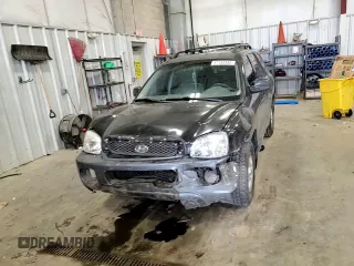 2003 Hyundai Santa Fe GLS with VIN KM8SC13D83U566100, listed as a Copart auction lot 47193955 with 166,060 mi miles and Non Repairable. Bid and sale history available at carsss.com. Image 11.