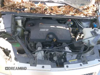 2007 Chevrolet Uplander LS Fleet with VIN 1GNDV23187D213517, listed as a IAAI auction lot 41674928 with Not Provided miles and . Bid and sale history available at DreamBid. Image 10.