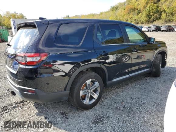 2024 Honda Pilot EX-L 7 Passenger with VIN 5FNYG1H51RB019899, listed as a Copart auction lot 75478704 with 7,397 mi miles and Salvage Title. Bid and sale history available at carsss.com. Image 3.