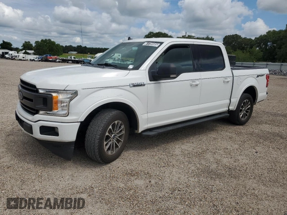 2019 Ford F-150 XL with VIN 1FTEW1CPXKFA75369, listed as a Copart auction lot 61735505 with 164,310 mi miles and Clean title. Bid and sale history available at DreamBid. Image 1.