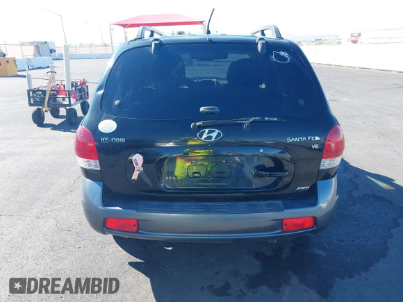 2006 Hyundai Santa Fe GLS with VIN KM8SC73D06U111314, listed as a IAAI auction lot 41874246 with 126,127 mi miles. Bid and sale history available at carsss.com. Image 14.