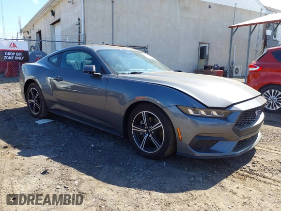 2024 Ford Mustang EcoBoost with VIN 1FA6P8TH1R5143311, listed as a IAAI auction lot 42093284 with 2,255 mi miles and . Bid and sale history available at DreamBid. Image 1.