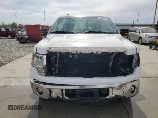2013 Ford F-150 XL with VIN 1FTEX1CM4DFC81650, listed as a Copart auction lot 52021375 with 172,413 mi miles and Salvage title. Bid and sale history available at DreamBid. Image 5.