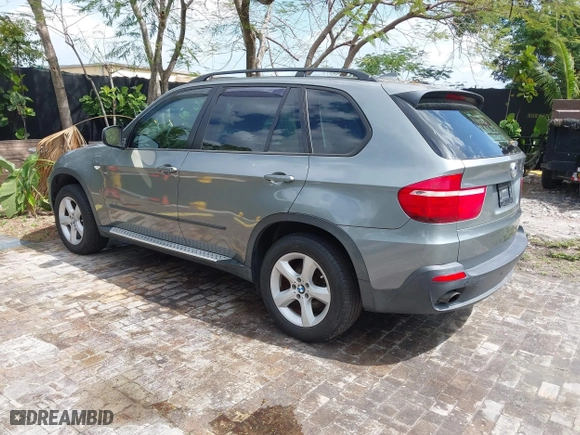 2009 BMW X5 30i with VIN 5UXFE435X9L263360, listed as a IAAI auction lot 41991181 with 113,645 mi miles. Bid and sale history available at carsss.com. Image 3.