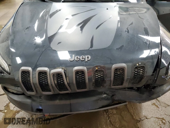 2016 Jeep Cherokee Trailhawk z VIN 1C4PJMBS5GW179273, wystawiony jako Copart lot #61175695 z przebiegiem 110 295 mil mil oraz Czysty tytuł • Clean title. Historia ofert i sprzedaży dostępna na DreamBid. Obrazek 12.